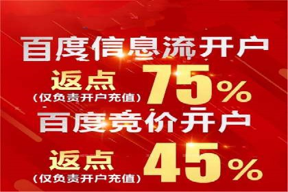 百度推广服务费案例分析：成功背后的秘密